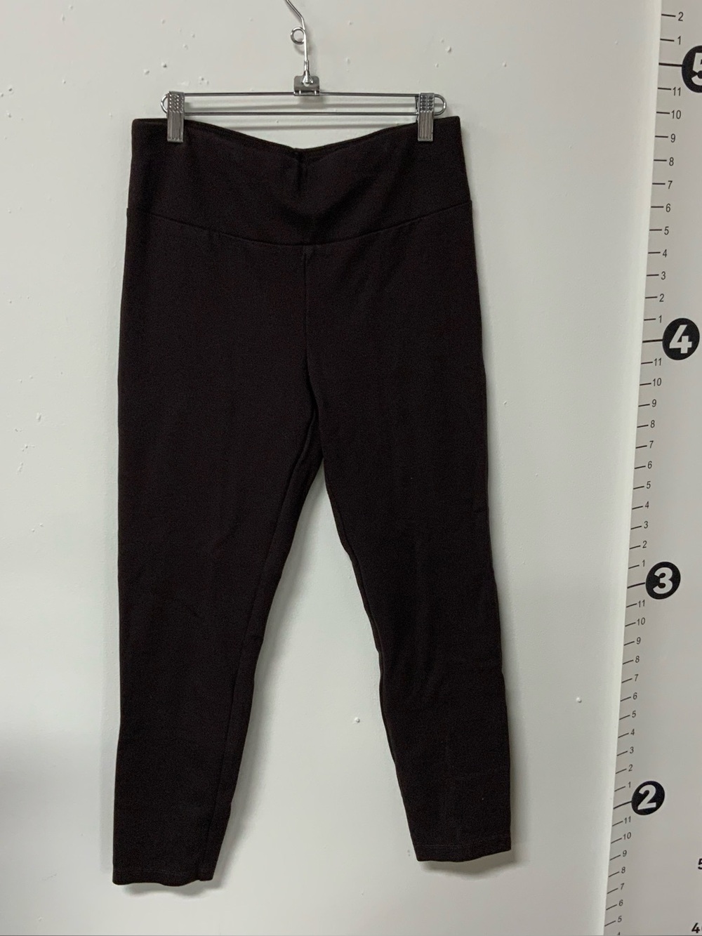CAbi pants